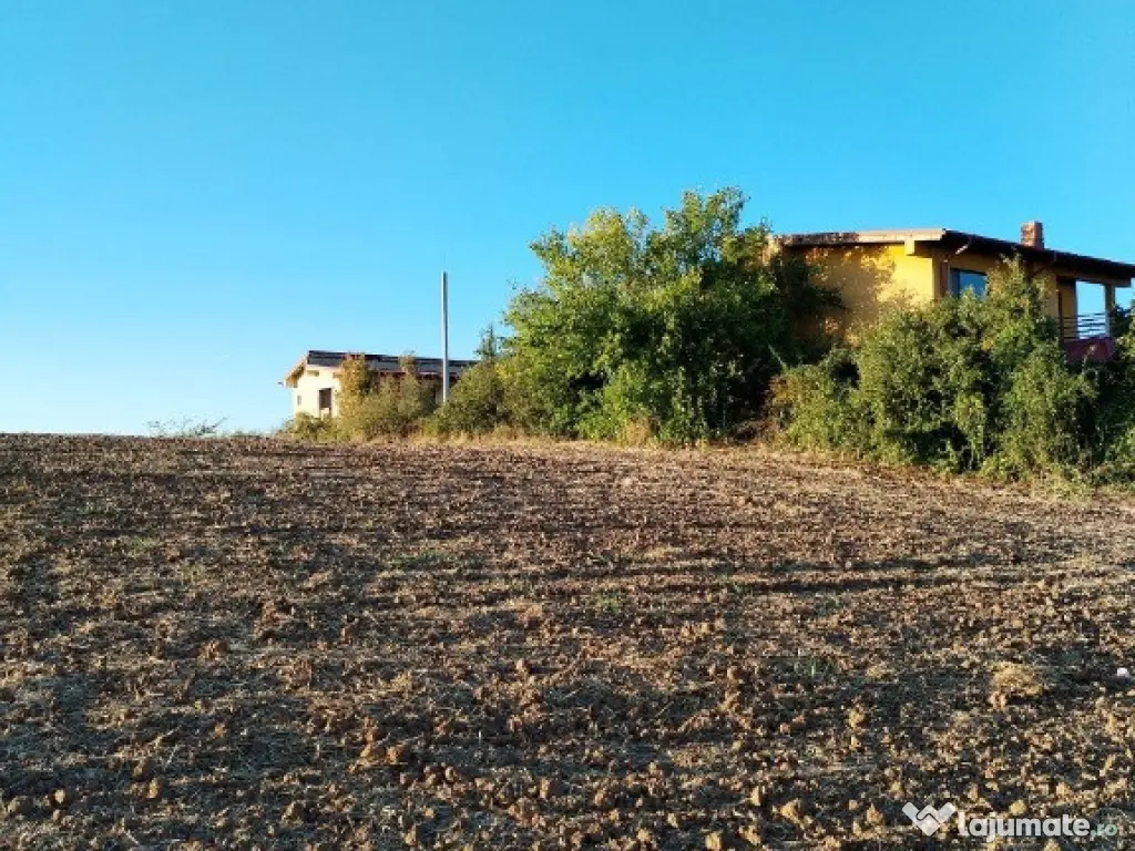 Ciolpani, spre Izvorani - COR, vanzare teren 5000mp. 