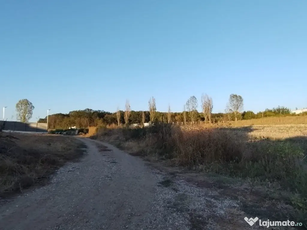 Ciolpani, spre Izvorani - COR, vanzare teren 5000mp. 