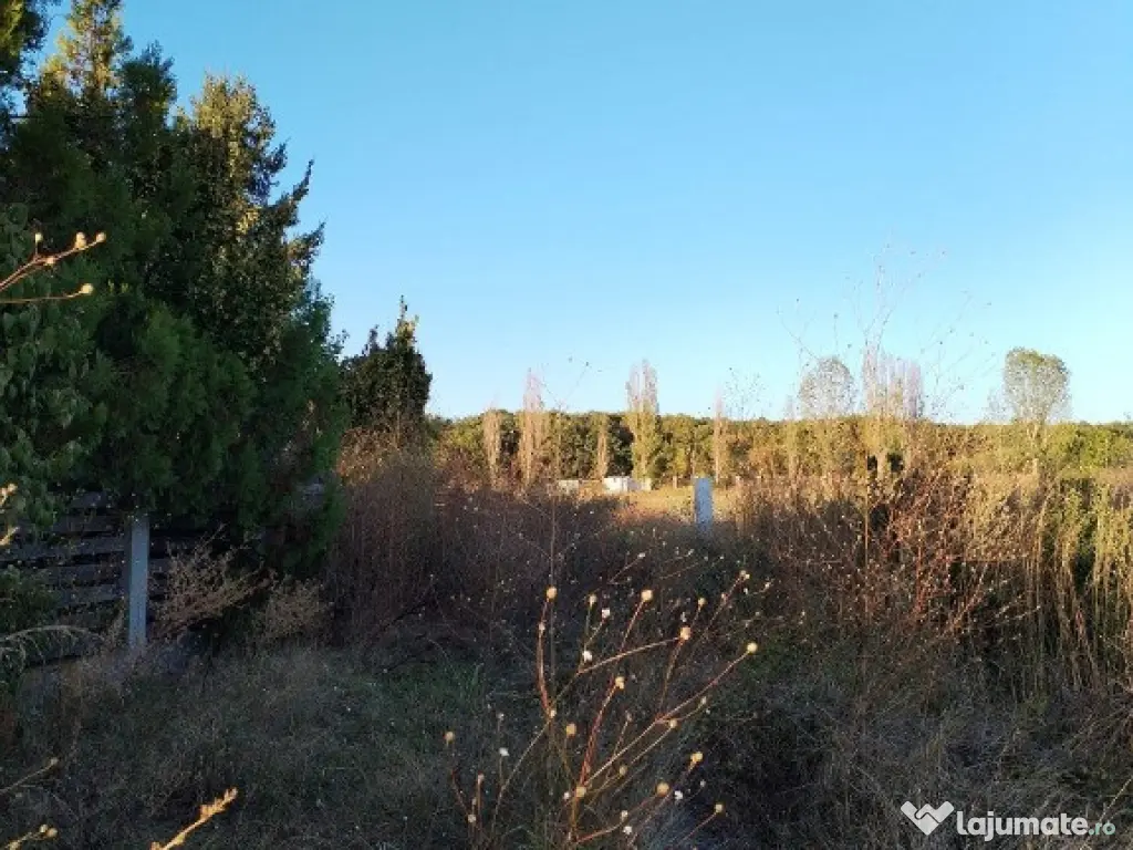 Ciolpani, spre Izvorani - COR, vanzare teren 5000mp. 