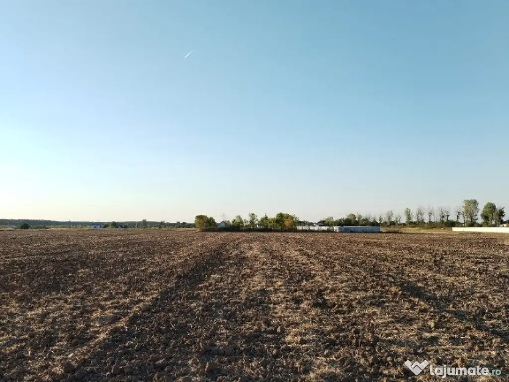 Ciolpani, spre Izvorani - COR, vanzare teren 5000mp. 