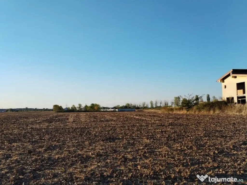 Ciolpani, spre Izvorani - COR, vanzare teren 5000mp. 