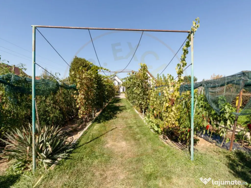 Casa visurilor cu livada roditoare si gradina amenajata 