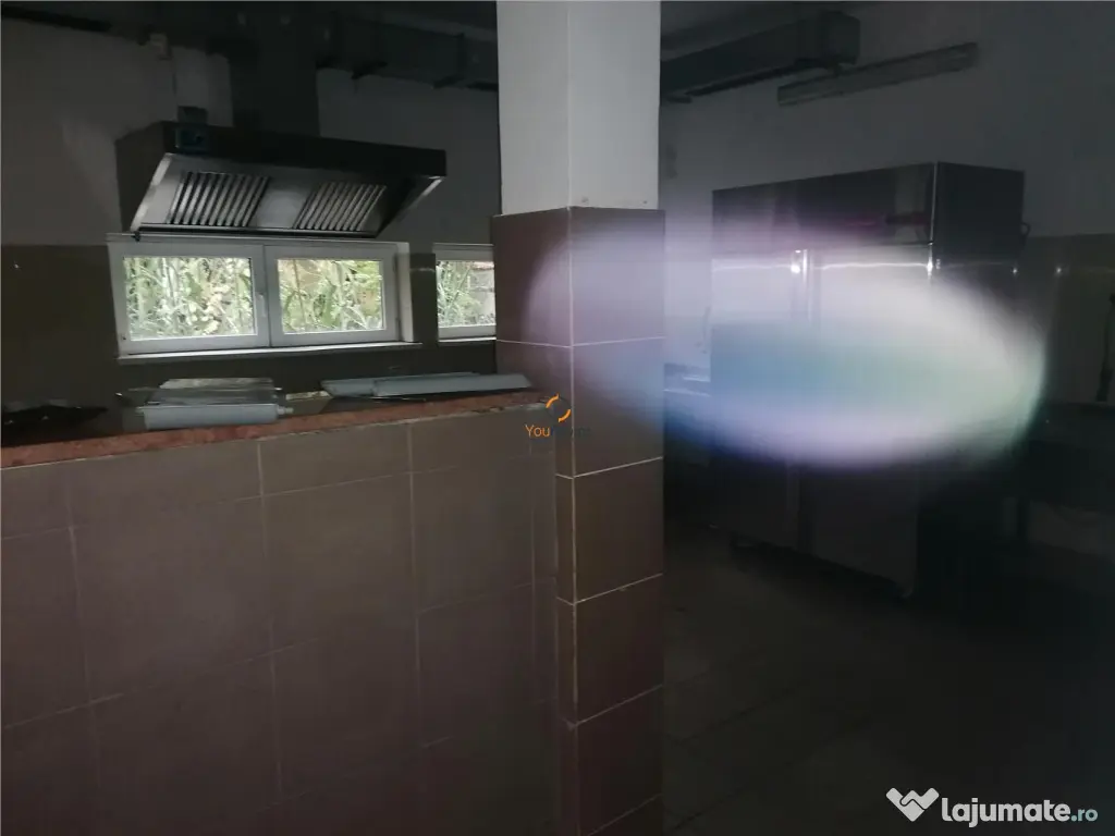 Pensiune Azil Spatiu Comercial Calea Girocului