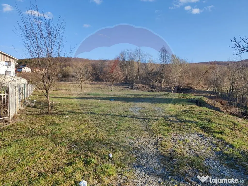 Teren de vanzare in Faget! 3600 MP! PUZ Aprobat! 