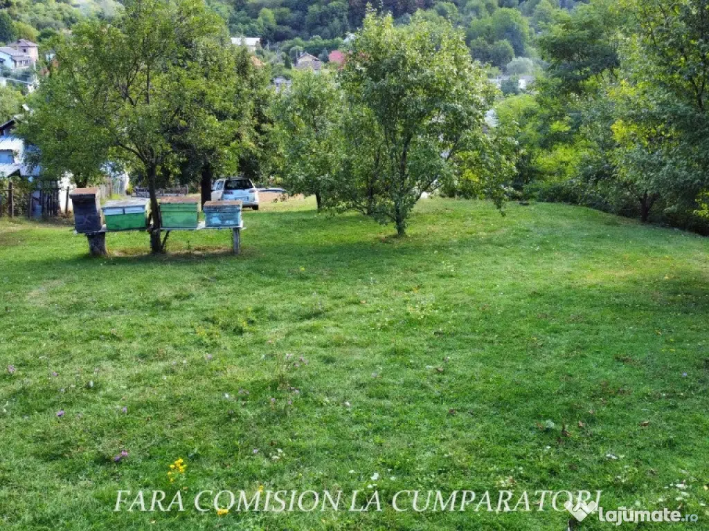 TEREN 1869 MP, CADRU NATURAL SUPERB, TOATE UTILITATILE 