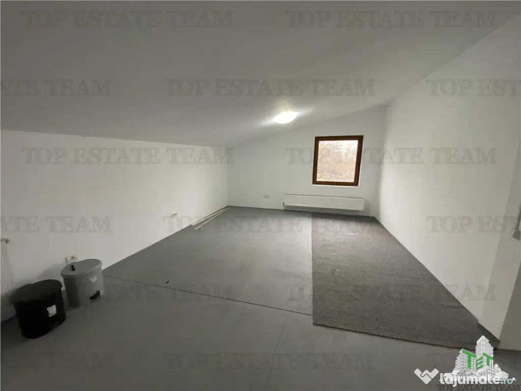 Spatiu comercial, birouri, depozitare de inchiriat in Doamna 
