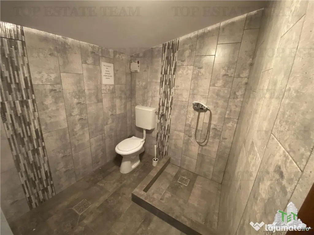 Spatiu comercial, birouri, depozitare de inchiriat in Doamna 