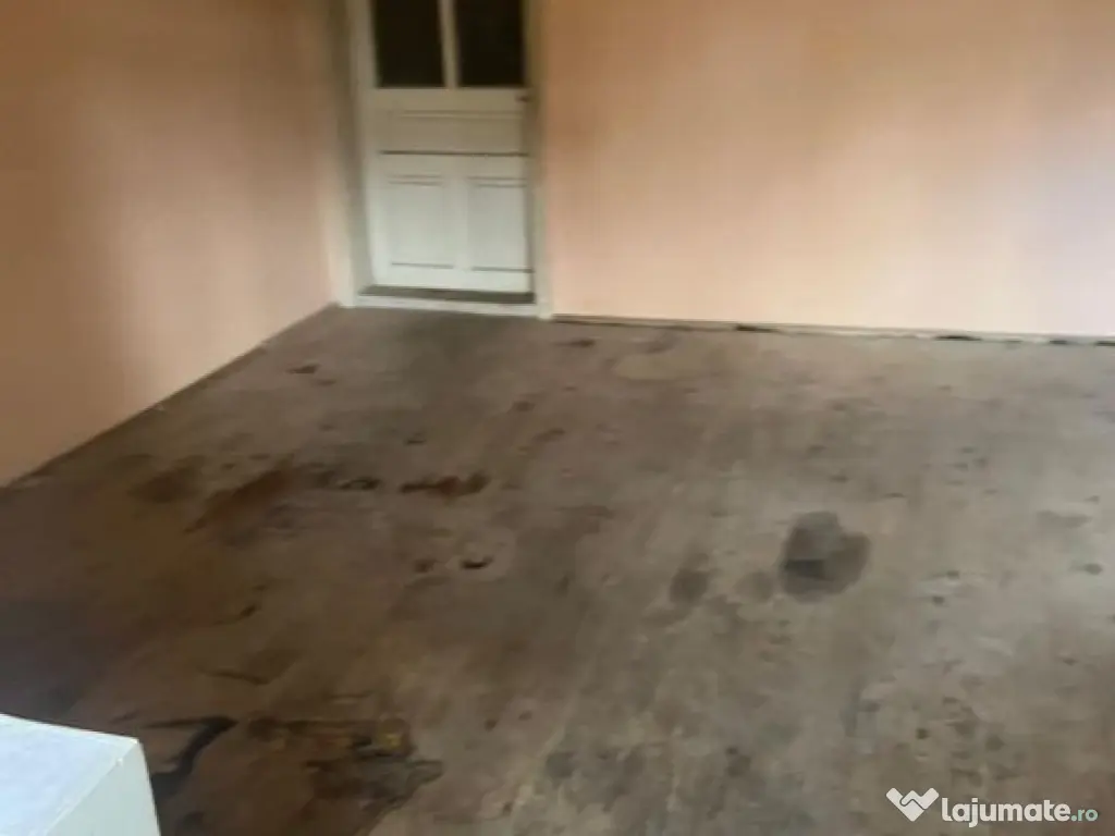 Casă complet renovată, pentru locuință sau pensiune t... 