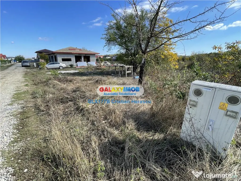 Gulia Tartasesti Str Samurcasi 482 mp deschidere 25 ml 