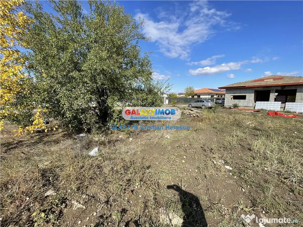 Gulia Tartasesti Str Samurcasi 482 mp deschidere 25 ml 