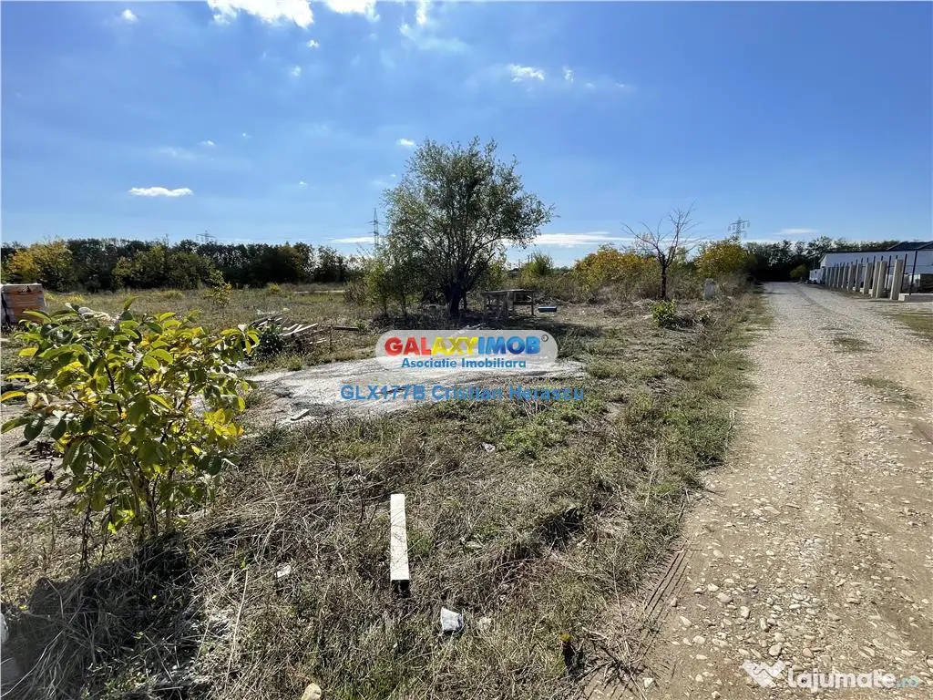 Gulia Tartasesti Str Samurcasi 482 mp deschidere 25 ml 