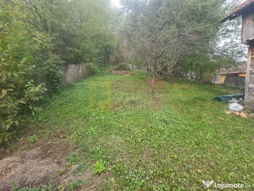 Casa batraneasca cu teren (4.910 mp) la Alunis 