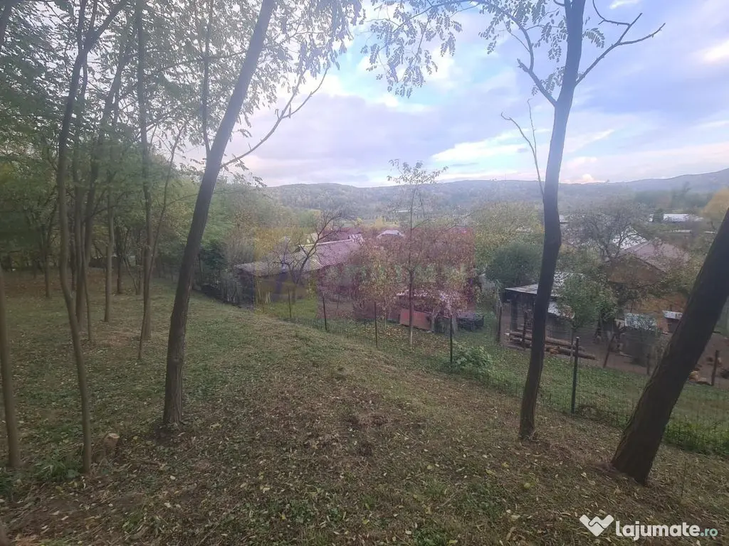 Casa batraneasca cu teren (4.910 mp) la Alunis 