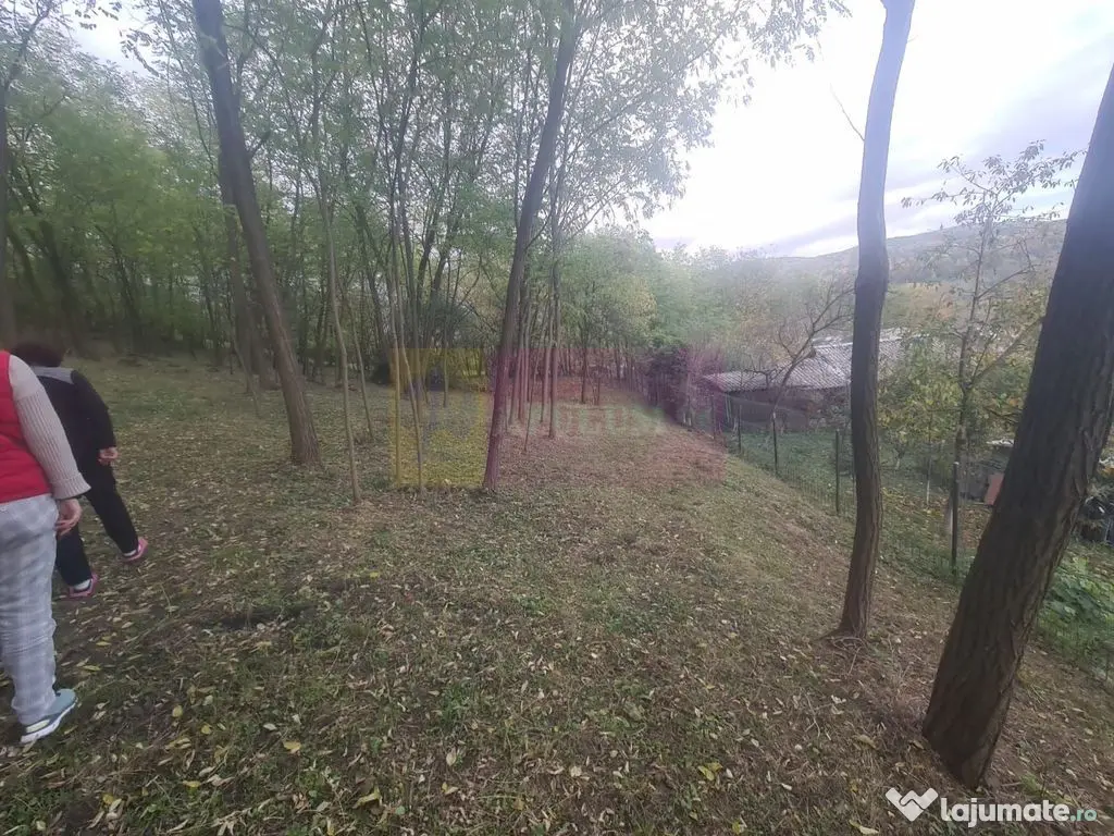 Casa batraneasca cu teren (4.910 mp) la Alunis 