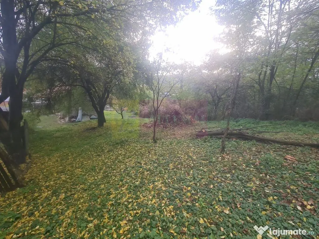 Casa batraneasca cu teren (4.910 mp) la Alunis 