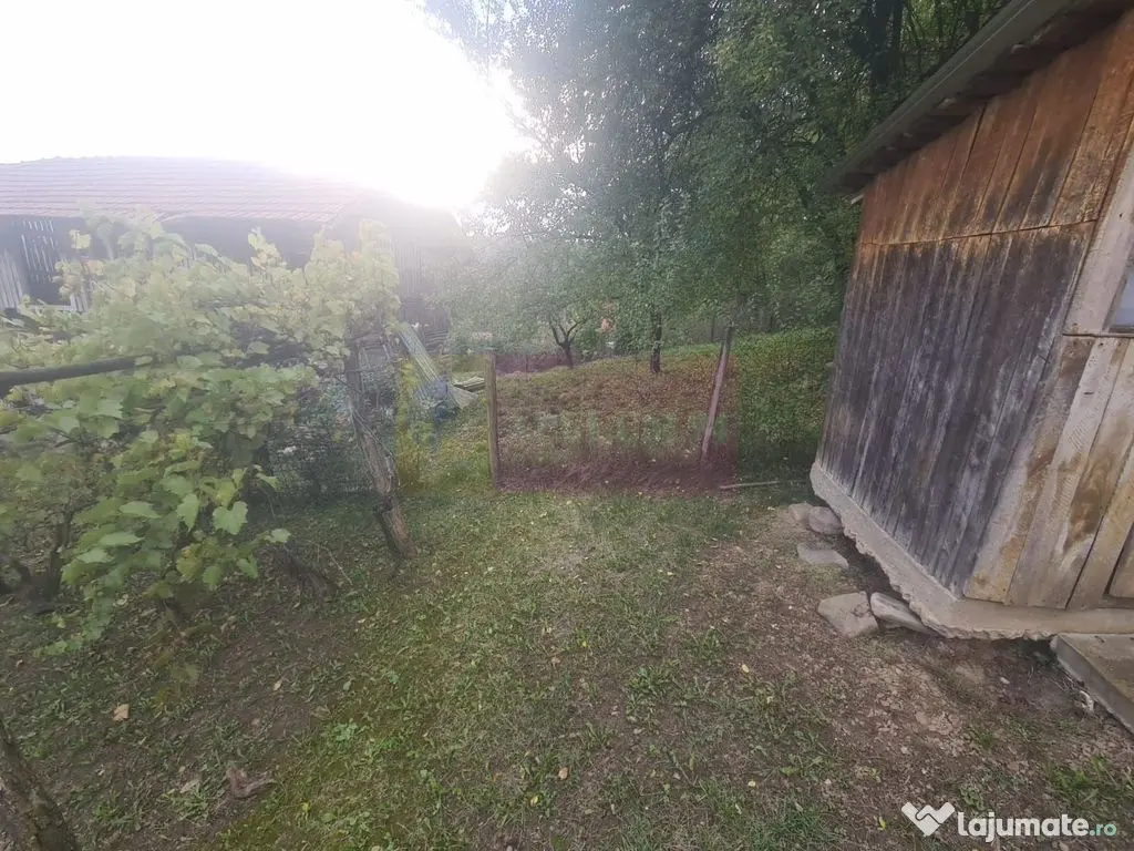 Casa batraneasca cu teren (4.910 mp) la Alunis 