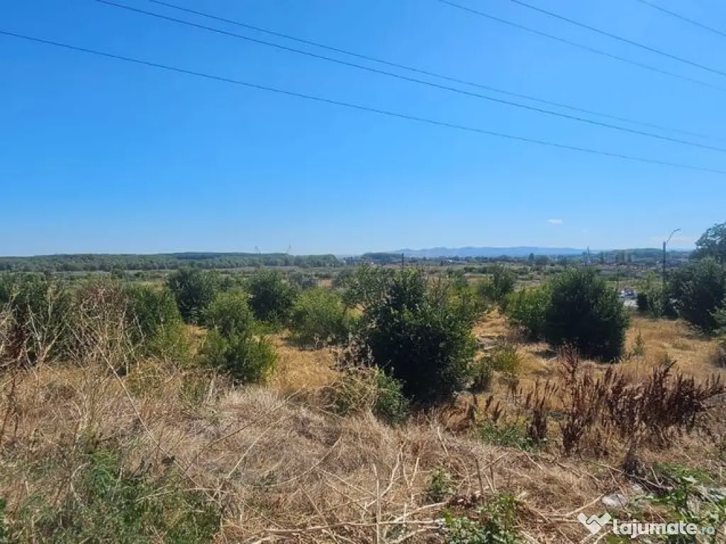 Teren intravilan 14.168 mp – pozitie excelenta la intra... 