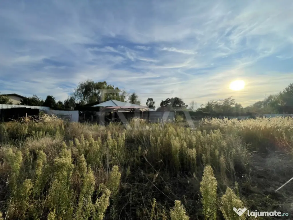 O oportunitate rară în Corbeanca - zonă linistita, aproap 