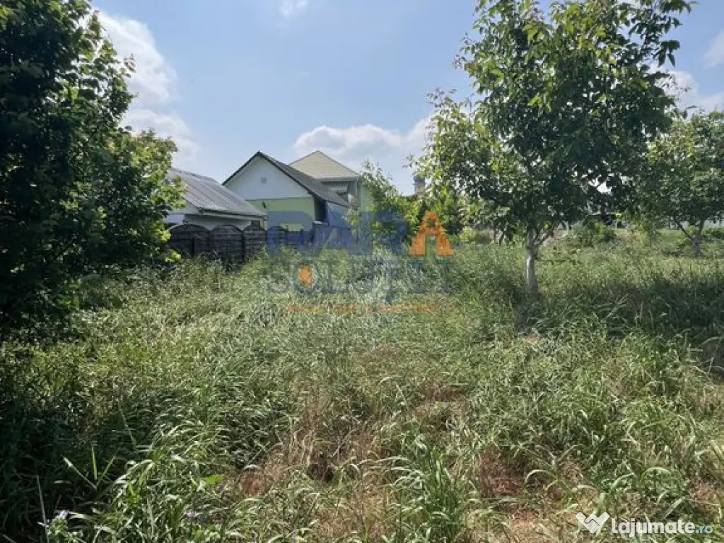 5200 mp intravilan - Str Viitorului (zona Abator) 