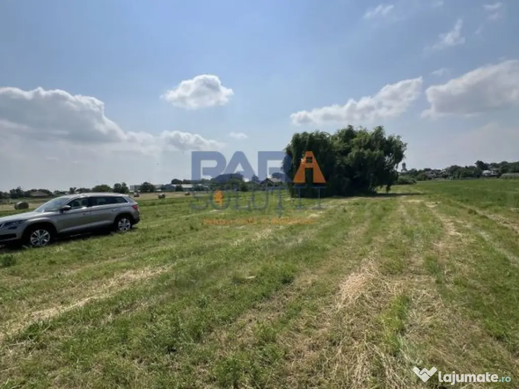 5200 mp intravilan - Str Viitorului (zona Abator) 