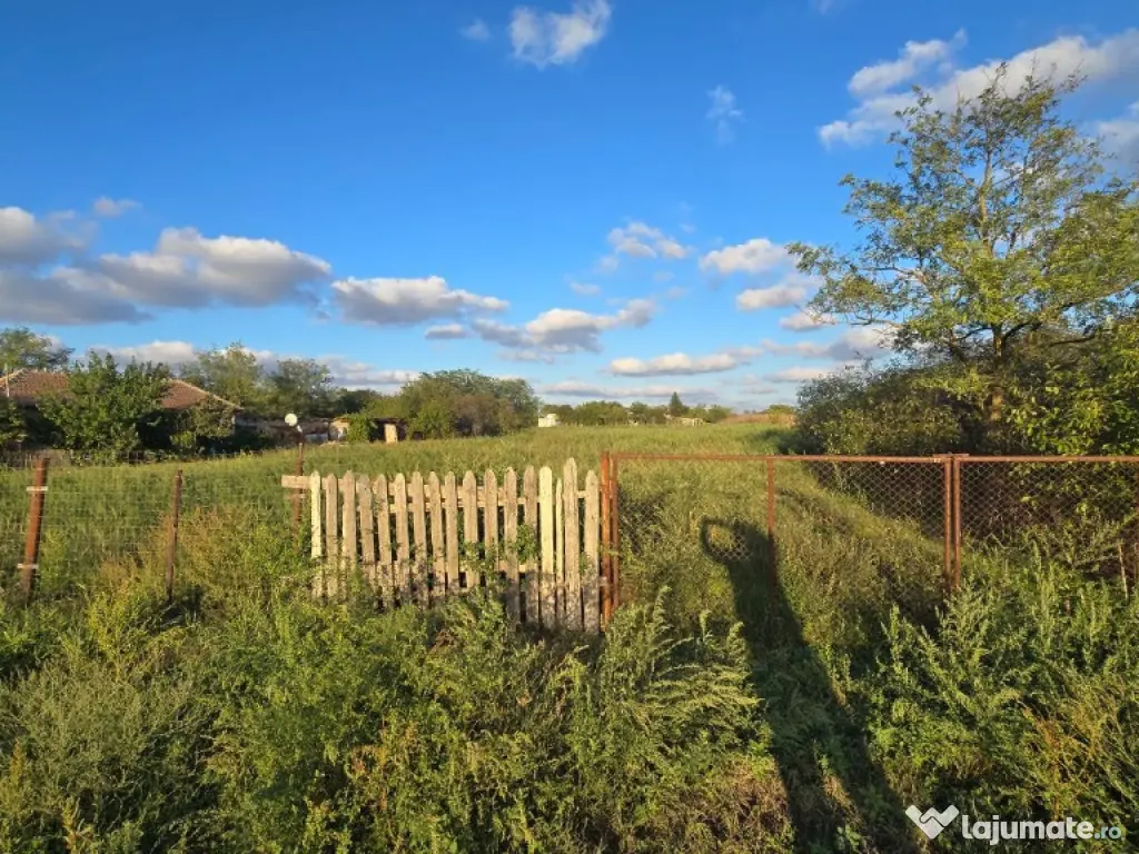 Teren Intravilan 4000 mp Potarnichea comuna Topraisar,utilitati langa