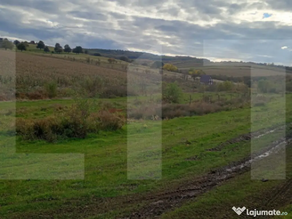 Teren de investitie 1760 mp