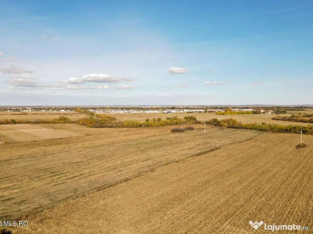 Bucovat - Lot Intravilan 2.27 Ha, PUZ inceput, Rezidentia... 