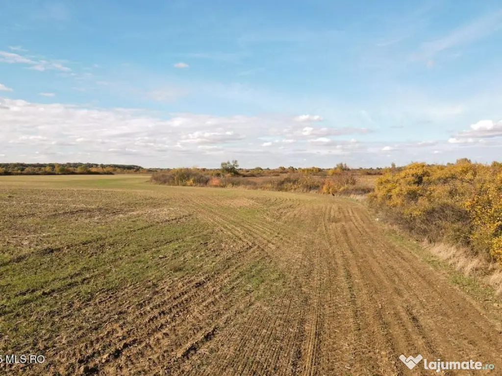 Bucovat - Lot Intravilan 2.27 Ha, PUZ inceput, Rezidentia... 