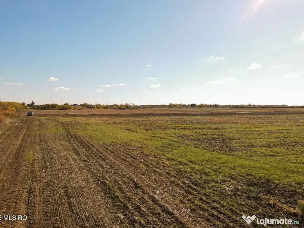 Bucovat - Lot Intravilan 2.27 Ha, PUZ inceput, Rezidentia... 