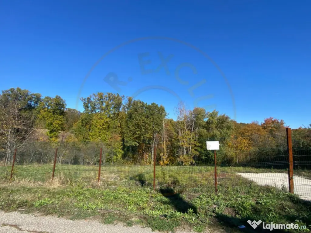 Teren 969 mp intravilan la 10km de Pitesti, langa padure.