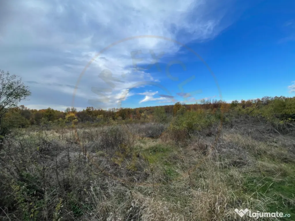 Teren intravilan 6975 mp Mosoaia Arges 