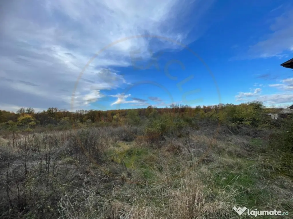 Teren intravilan 6975 mp Mosoaia Arges 