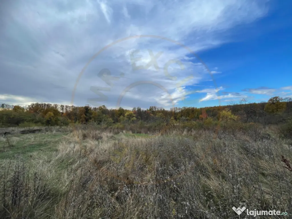 Teren 6975 mp Mosoaia Arges 