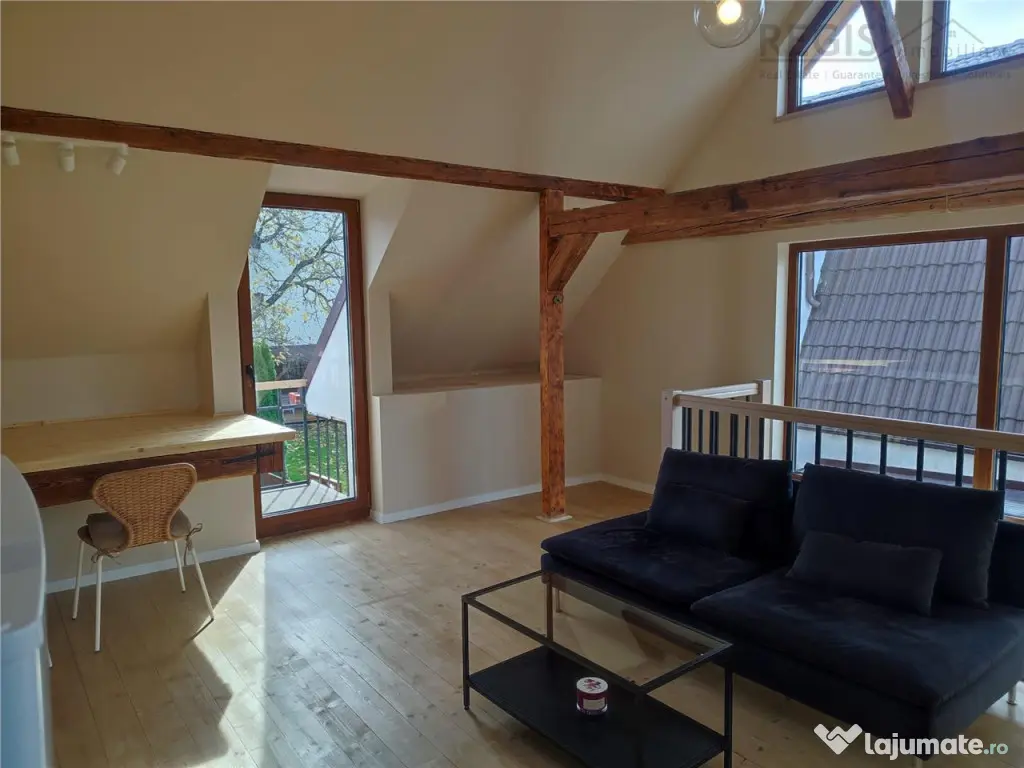 Apartament modern la curte 