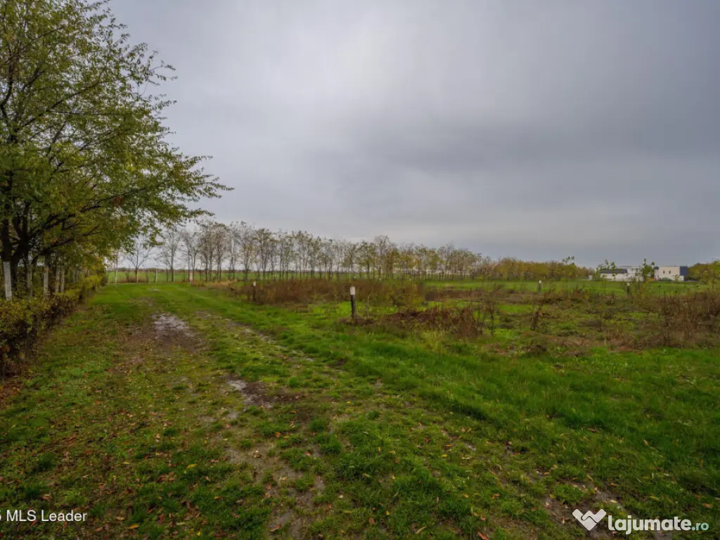 Teren intravilan de | Cartier rezidențial deosebit | 