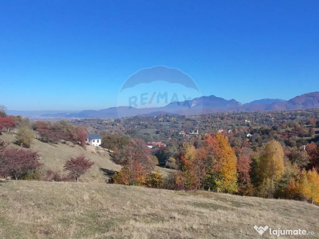 Teren 3,500mp Bran / Strada Bradul Inalt 