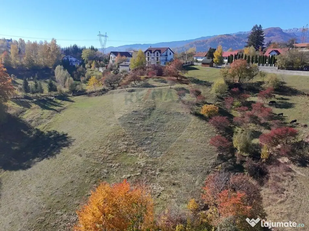 Teren 3,500mp Bran / Strada Bradul Inalt 