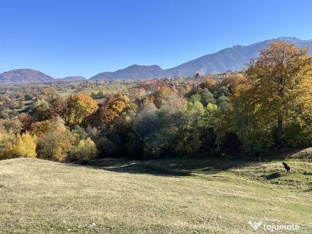 Teren 3,500mp Bran / Strada Bradul Inalt 