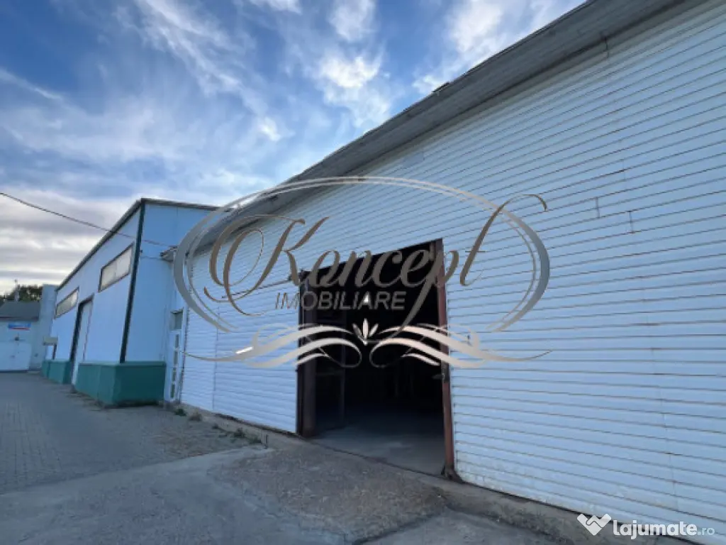 Hala pentru depozitare sau productie usoara