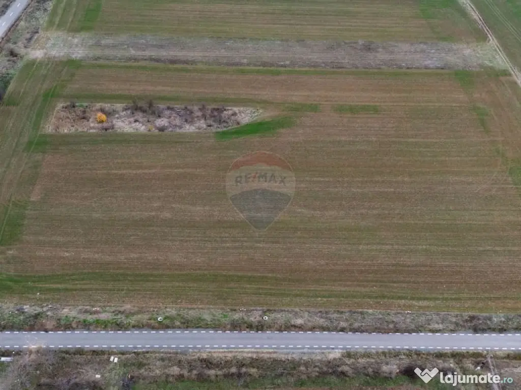 Teren 6,400mp Minis / Strada Traian Fidrich 