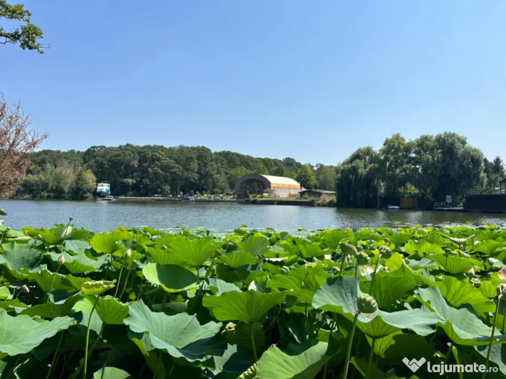 Teren de Vis pe malul lacului Snagov / 4000 mp in inima Natu