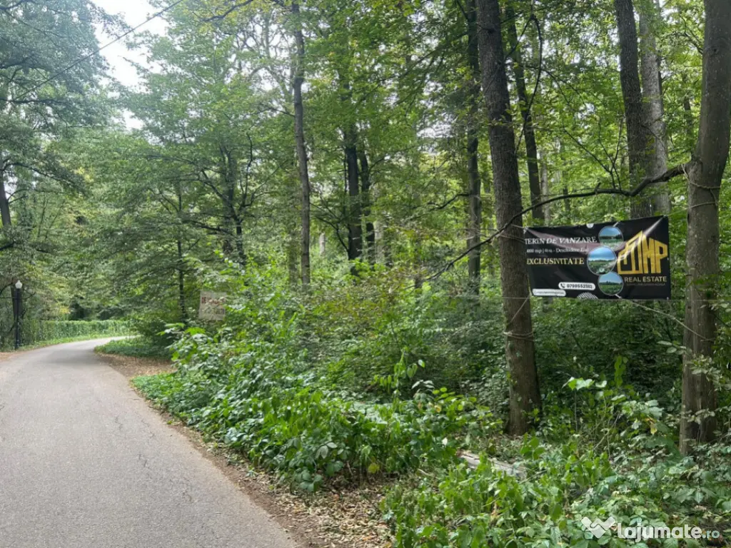 Teren de Vis pe malul lacului Snagov / 4000 mp in inima Natu