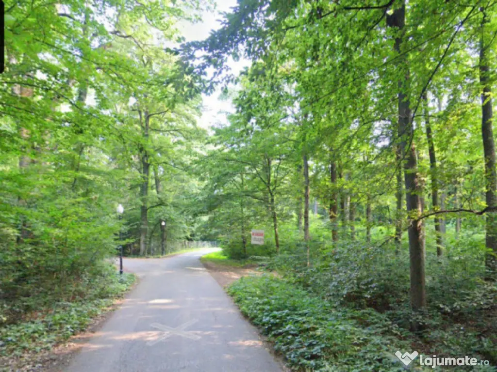 Teren de Vis pe malul lacului Snagov / 4000 mp in inima Natu