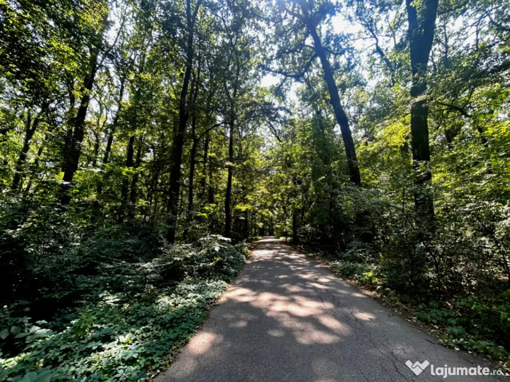 Teren de Vis pe malul lacului Snagov / 4000 mp in inima Natu