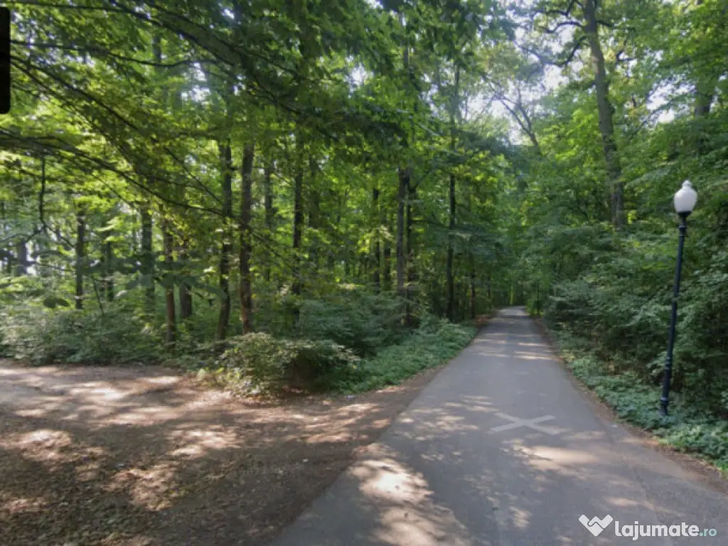 Teren de Vis pe malul lacului Snagov / 4000 mp in inima Natu