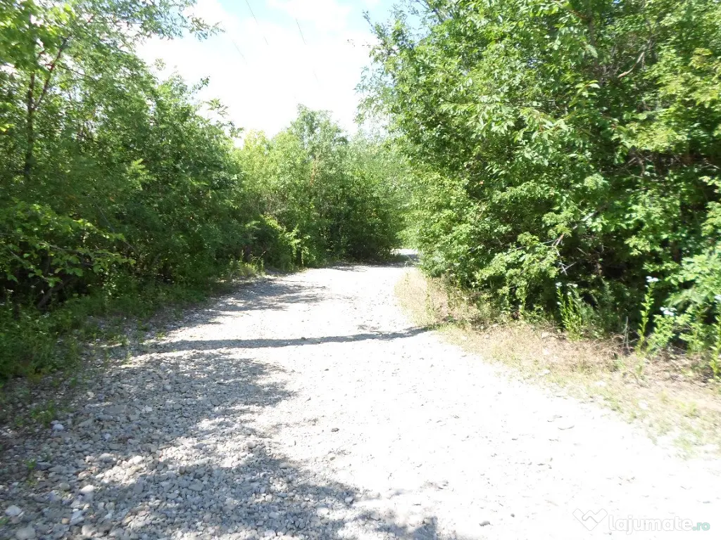 Teren intravilan in Boldesti Scaeni, Prahova, 7410 mp 