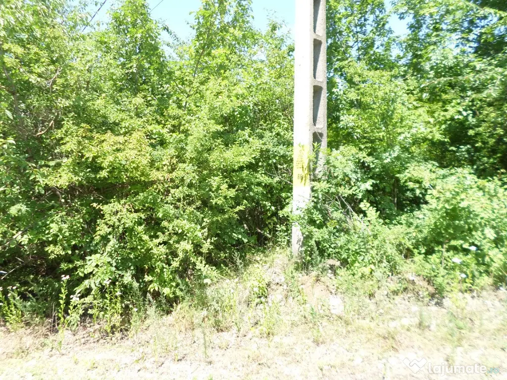 Teren intravilan in Boldesti Scaeni, Prahova, 7410 mp 