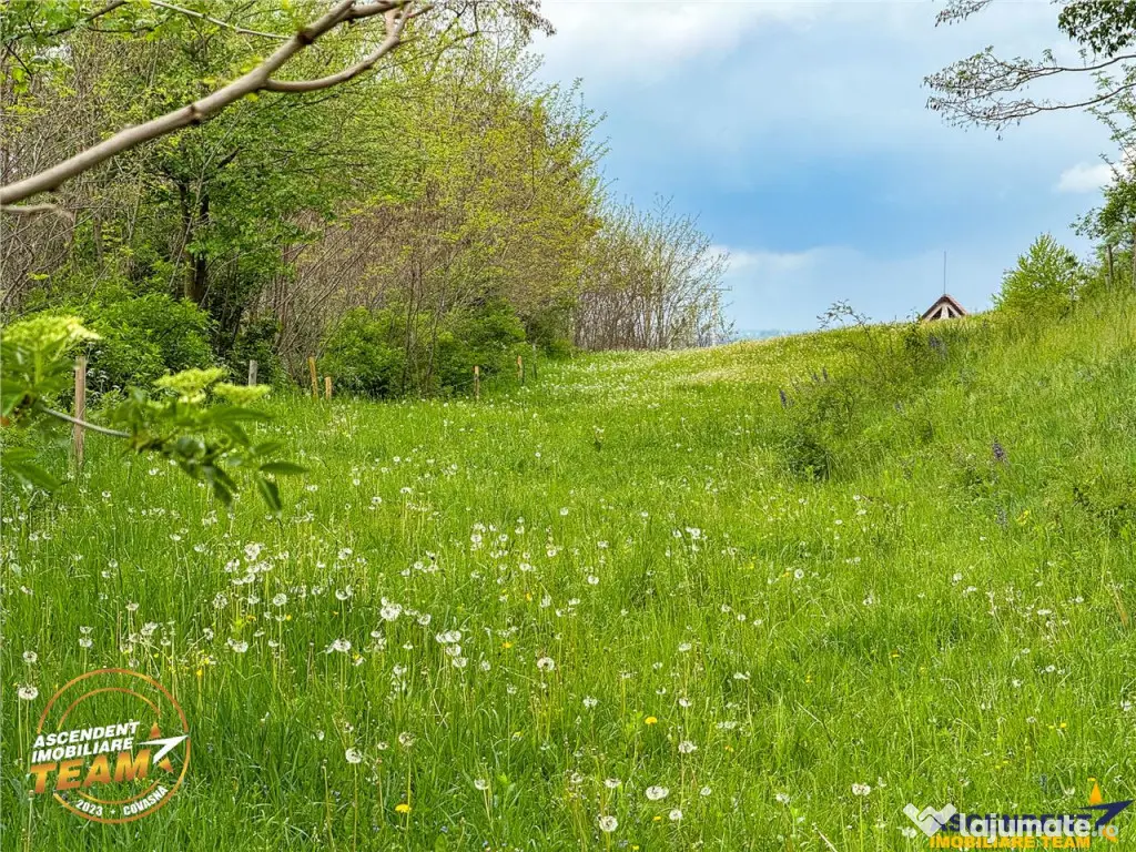FILM! Teren intravilan, 6.500 mp, Papauti, Covasna