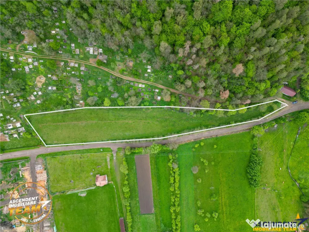 FILM! Teren intravilan, 6.500 mp, Papauti, Covasna