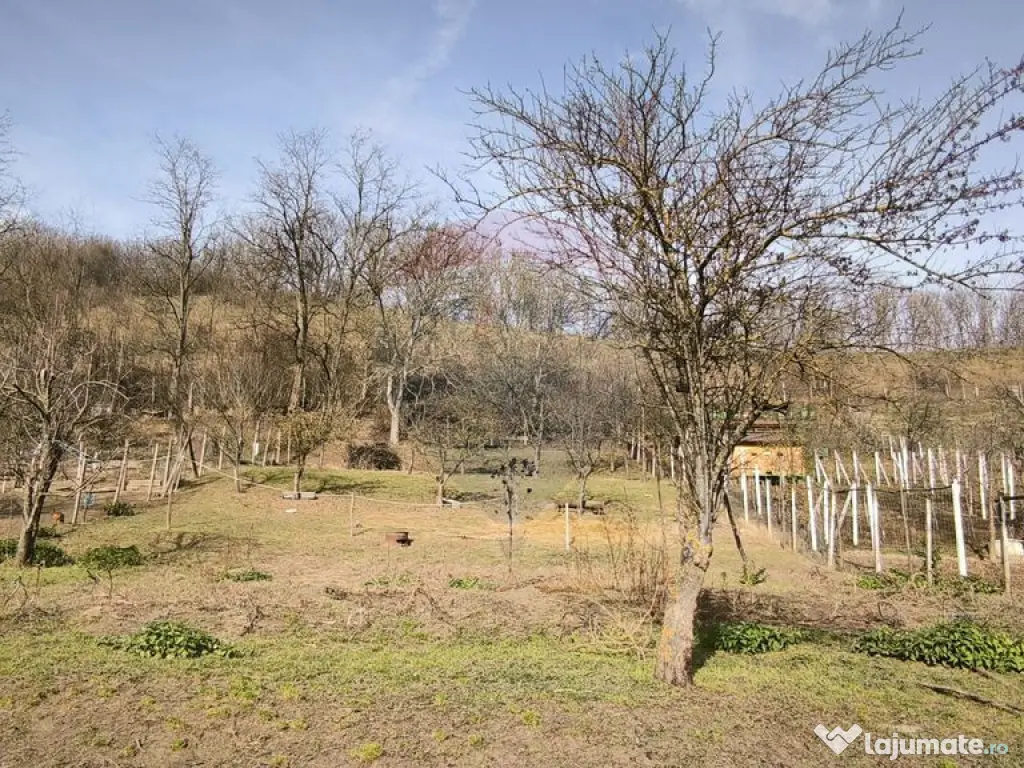 Casă la țară in Transilvania - sat sasesc Păucea, jud...